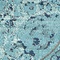 Link to variation of this rug: SKU#3119857