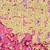 See color option for 2' 7 x 10' Palazzo Runner Rug
