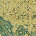 See color option for 2' 7 x 10' Palazzo Runner Rug