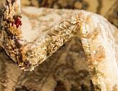 2' 7 x 10' Aditi Runner Rug thumbnail