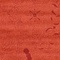 See color option for 10' x 10' Vista Square Rug