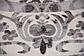 12' 2 x 12' 2 Vista Round Rug thumbnail