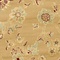 See color option for 8' x 8' Classic Agra Round Rug