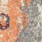 See color option for 3' 3 x 5' 3 Casablanca Rug
