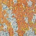 See color option for 2' 7 x 10' Casablanca Runner Rug