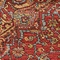 See color option for 3' 3 x 5' 3 Serapi Rug