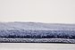 8' x 8' Loft Round Rug thumbnail image 11