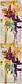 2' 7 x 10' Casablanca Runner Rug thumbnail