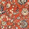 See color option for 8' x 10' Kashan Design Rug