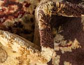10' x 13' Classic Aubusson Rug thumbnail
