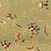 See color option for 2' 7 x 10' Classic Aubusson Runner...