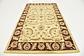 5' x 8' Aditi Rug thumbnail