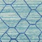 See color option for 8' x 10' Aqua Rug