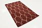 3' x 4' 10 Lattice Rug thumbnail