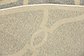 6' x 6' Trellis Round Rug thumbnail image 8