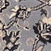 Link to variation of this rug: SKU#3128764