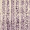 See color option for 4' x 6' Angelica Rug