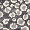 See color option for 6' x 6' Safari Square Rug