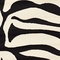 See color option for 8' x 8' Safari Round Rug