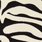 See color option for 6' x 9' Safari Rug