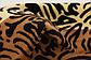 6' x 6' Safari Square Rug thumbnail