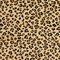 See color option for 9' x 12' Safari Rug