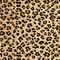 See color option for 7' x 10' Safari Rug