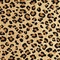 See color option for 6' x 9' Safari Rug