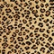 See color option for 6' x 6' Safari Square Rug