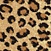 See color option for 2' 7 x 10' Safari Runner Rug