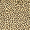 See color option for 9' x 12' Safari Rug