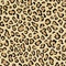 See color option for 7' x 10' Safari Rug