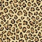 See color option for 6' x 6' Safari Square Rug