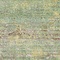 See color option for 7' x 10' Aqua Rug