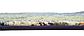 2' 7 x 10' Casablanca Runner Rug thumbnail