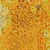 Link to variation of this rug: SKU#3125429