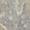 See color option for 8' x 11' Vienna Rug