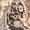 See color option for 5' x 8' Heritage Rug