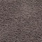 See color option for 6' x 9' Solid Shag Rug
