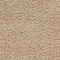 See color option for 7' x 10' Solid Shag Rug