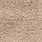 See color option for 5' x 8' Solid Shag Rug