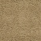 See color option for 8' 2 x 8' 2 Solid Shag Square Rug