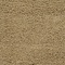 See color option for 8' x 11' Solid Shag Rug
