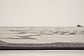 7' x 10' Outdoor Botanical Rug thumbnail image 15