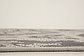 5' 3 x 8' Outdoor Botanical Rug thumbnail image 16