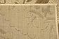 7' x 10' Outdoor Botanical Rug thumbnail