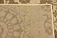 6' x 6' Outdoor Botanical Square Rug thumbnail