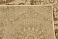 3' 3 x 5' Outdoor Botanical Rug thumbnail