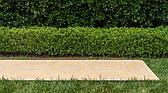 2' 2 x 6' Outdoor Botanical Runner Rug thumbnail image 3