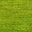 See color option for 2' 7 x 16' 5 Solid Gabbeh Runner Rug